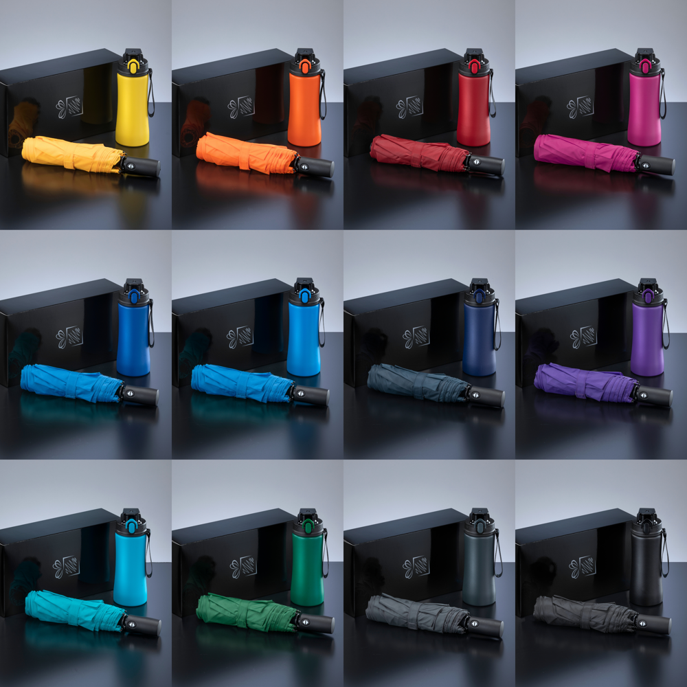 Primo Everyday Set: Wasserflasche 550 ml & vollautomatischer Harvard-Schirm