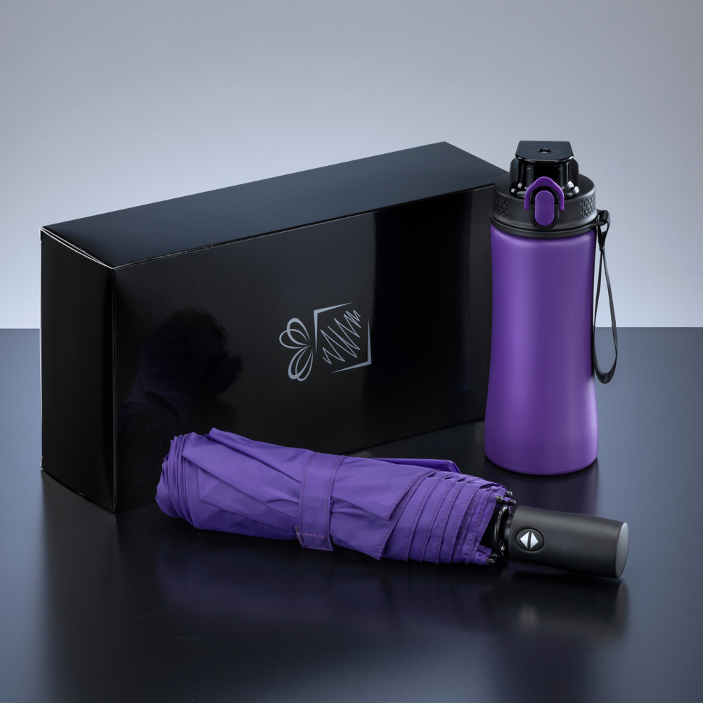 Primo Everyday Set: Wasserflasche 550 ml & vollautomatischer Harvard-Schirm - Violett