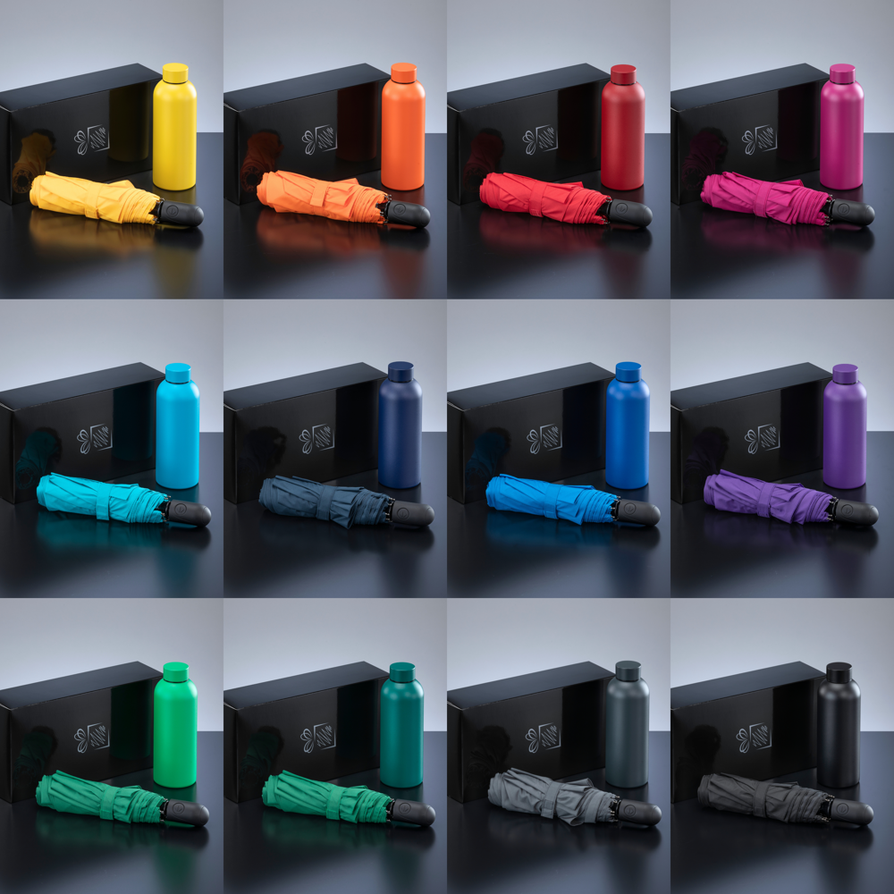 Active Set: Thermosflasche 500 ml & Automatikschirm