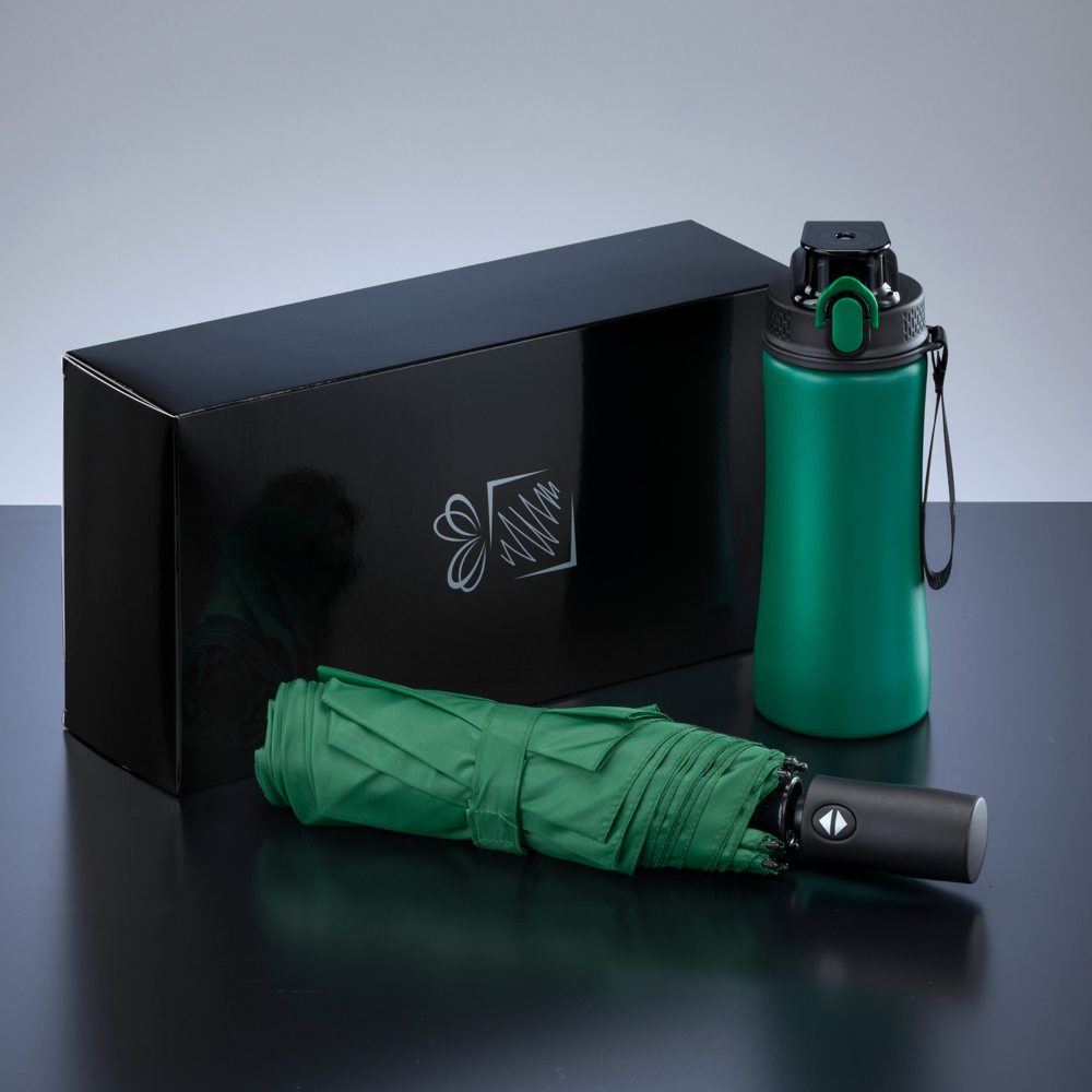 Primo Everyday Set: Wasserflasche 550 ml & vollautomatischer Harvard-Schirm - Grün