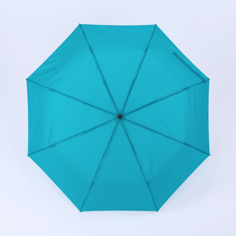 Primo Everyday Set: Wasserflasche 550 ml & vollautomatischer Harvard-Schirm