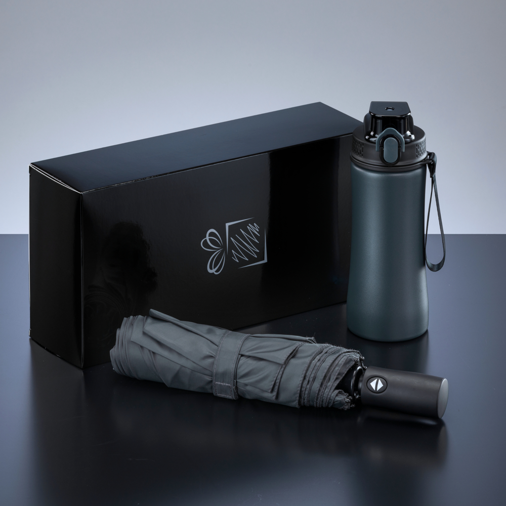 Primo Everyday Set: Wasserflasche 550 ml & vollautomatischer Harvard-Schirm - grau