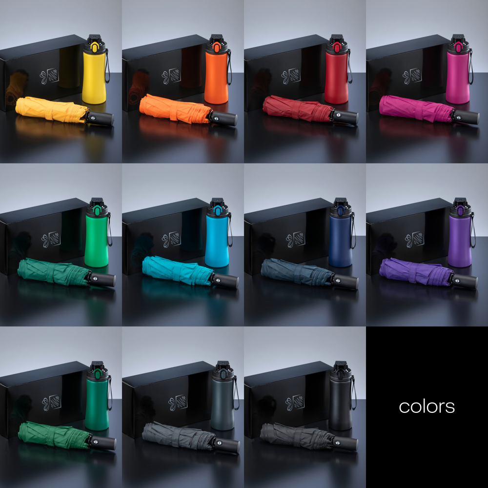 Primo Everyday Set: Wasserflasche 550 ml & vollautomatischer Harvard-Schirm